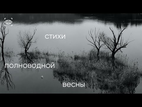 Видео: СТИХИ ПОЛОВОДЬЯ. Рубцов, Тютчев, Кибиров, Гандлевский, Шварц