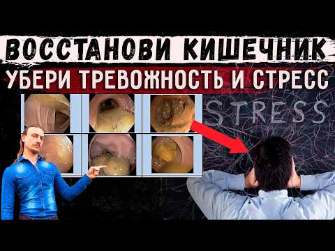 Видео: Как восстановить кишечник, снизить стресс, депрессию и тревожность?
