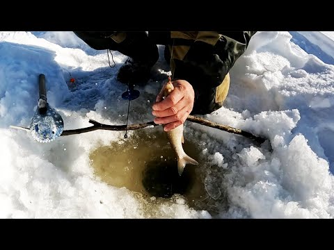 Видео: ГОРНАЯ РЫБАЛКА. Как рыбачат браконьеры. Зимняя рыбалка на реке.