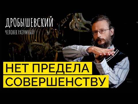 Видео: Эволюция тела приматов: как менялось строение организма предков // Дробышевский