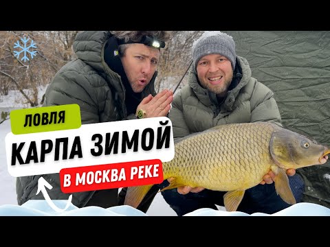 Видео: ЗИМНИЙ КАРПФИШИНГ! ❄️ Ловля карпа в МОСКВА РЕКЕ в январе!