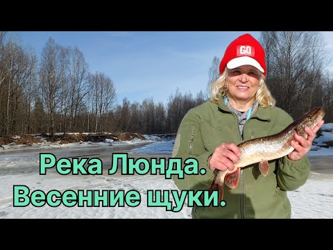 Видео: ЗАКРЫТИЕ ЗИМНЕГО СЕЗОНА НА РЕКЕ ЛЮНДА. ТРОФЕЙНЫЕ ЩУКИ НА ЖЕРЛИЦЫ.