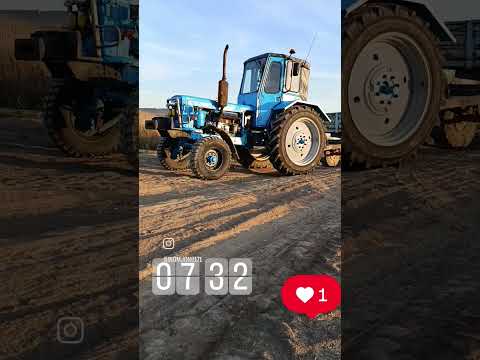 Видео: 2 ноября 2025 г.