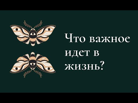 Видео: Что важное идет в жизнь?