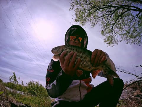 Видео: Открытие  сезона 2025 по белому хищнику #голавль #голавльнаспиннинг #язь