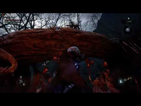 Видео: Lords of the Fallen. Часть 2