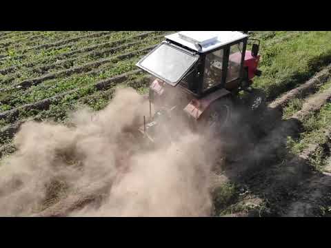 Видео: Три Этапа подготовки картофельного поля к уборке.