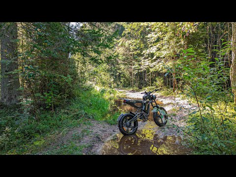 Видео: ikingi S6 Pro внедорожник в лесу