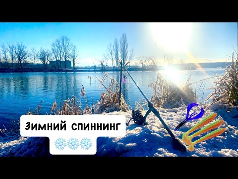 Видео: Зимний спиннинг ❄️ |Первая рыбалка 2025 года | Рыбалка на Щуку | Ловля ЩУКИ на силикон |ЩУКА НА ДЖИГ