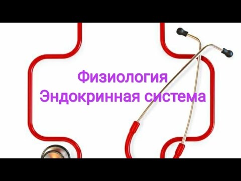 Видео: Физиология женских половых гормонов. Эстрогены и прогестерон.