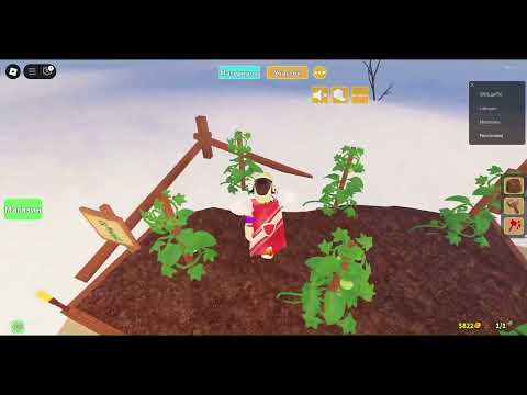 Видео: Построить убежище (Roblox)