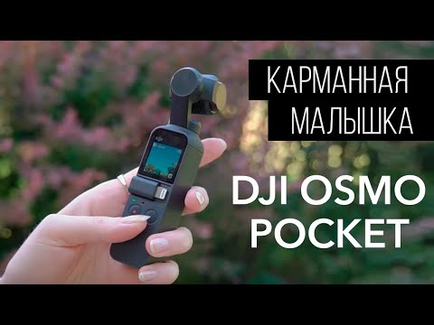Видео: DJI OSMO Pocket. 7 месяцев спустя!