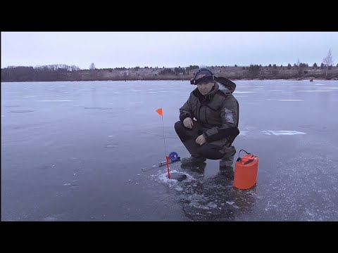 Видео: Первый лёд в Марий Эл 2024-2025, ловим щуку на жерлицы...