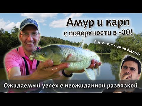 Видео: НАХЛЫСТ на озере: ловля амура и карпа летом в жару. Лучшая мушка на карпа для начинающих!