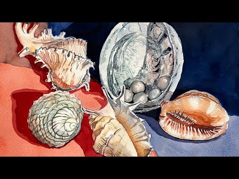 Видео: Рисуем натюрморт с ракушками акварелью.