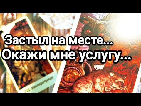 Видео: Вы повлияли на его решение ❗💌😱 Его жизнь без Вас 💯💌 Как намерен поступить❗💌💯😱🌞
