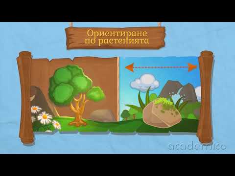 Видео: Ориентиране по земната повърхност - География 5 клас | academico