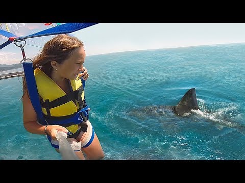 Видео: 19 Счастливчиков, Которым Дико Повезло! Самые Невероятные Везения
