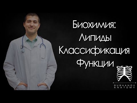 Видео: Липиды. Классификация липидов.