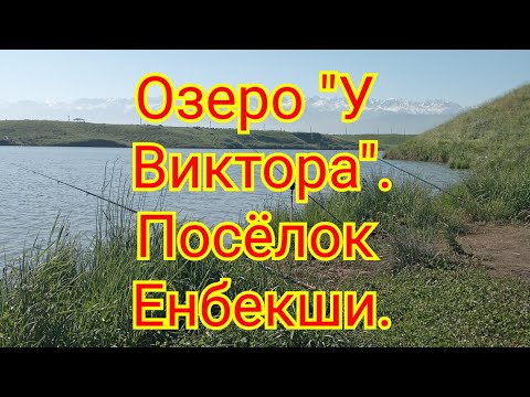 Видео: Рыбалка близ Алматы. Озеро "У Виктора загороженное". Поселок Енбекши.