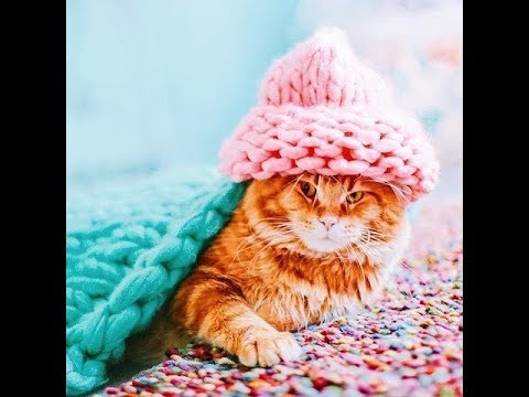 Видео: ПРОСТАЯ  ШАПКА "БИНИ"   -- мастерская  ОЛЬГИ  ПАВЛОВОЙ.