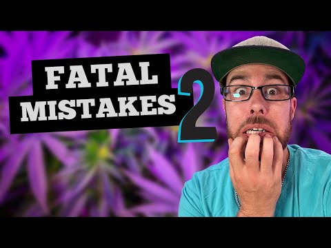 Видео: РАСТУЩИЕ ОШИБКИ, КОТОРЫЕ ДЕЛАЮТ ВСЕ. ЧАСТЬ 2