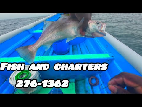 Видео: Исследуем новые места для рыбалки #TrinidadGulfside