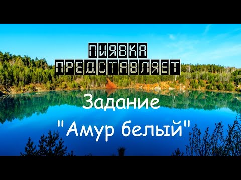 Видео: АМУР БЕЛЫЙ #MyFishingworld