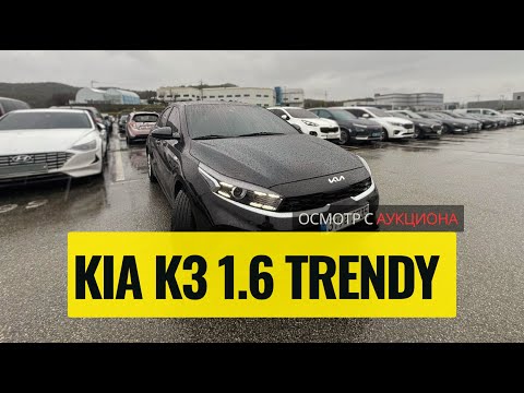 Видео: Осмотр KIA K3 2022.09 с аукциона Кореи | Замена капота и оптики | Цена от 1.44 млн ₽