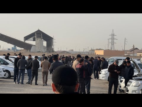 Видео: БЕРУНИЙ МОШИН БОЗОРИ 13 ноябр 2025