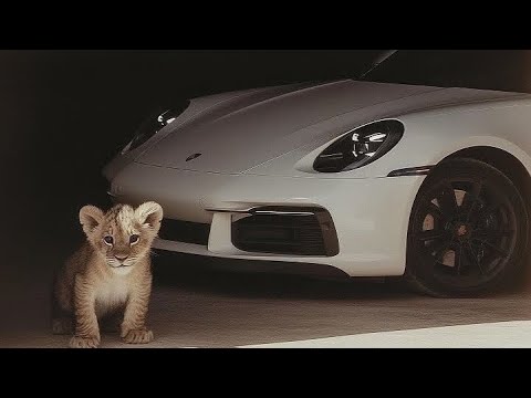 Видео: VIP KAZAKH PLAYLIST 🇰🇿| ПЛЕЙЛИСТ ДЛЯ ВИП КАЗАХОВ🇰🇿