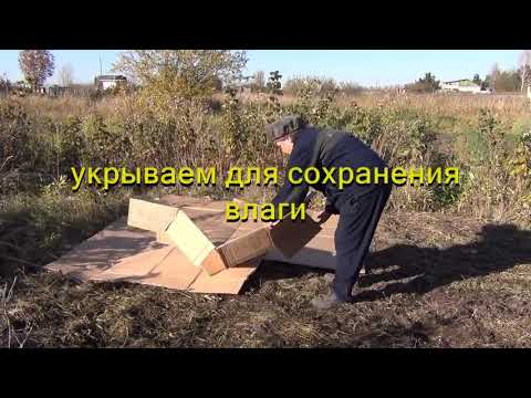 Видео: Как разработать  целину с помощью эм-препаратов.