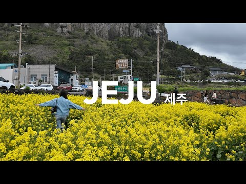 Видео: Как мы увидели весь Чеджу за 2 дня — без машины