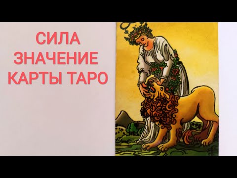 Видео: СИЛА/АРКАН VIII/ЗНАЧЕНИЕ КАРТЫ ТАРО