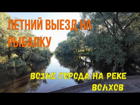 Видео: Летний выезд. Рыбалка на реке Волхов. Природа и места возле города Великий Новгород.