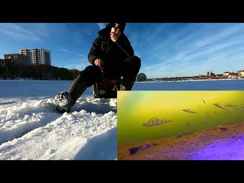 Видео: Обзор подводной камеры Fishing Hero V 3 0  с записью