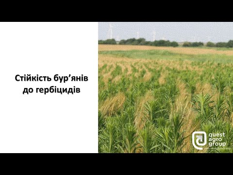 Видео: Стійкість бур'янів до гербіцидів