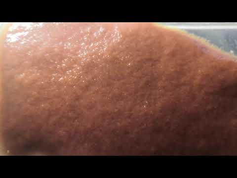 Видео: Кормлю аулофорусом рыбу