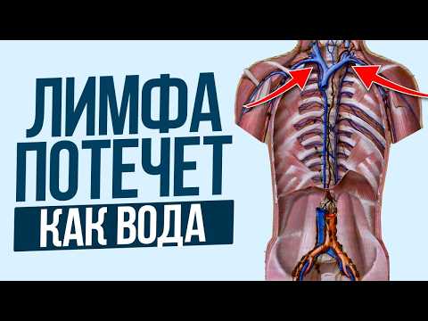 Видео: Ты ОТЕКАЕШЬ каждый день из-за ЭТОГО! / Как разогнать лимфу и убрать 5 лишних килограмм?
