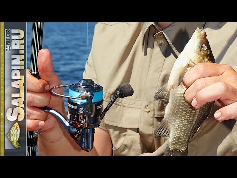 Видео: Как выбрать катушку для болонки [salapinru]