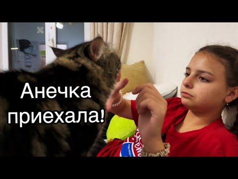Видео: Анечка приехала! Дома ее не было  целый месяц, посмотрим как отреагируют малыши на ее приезд.