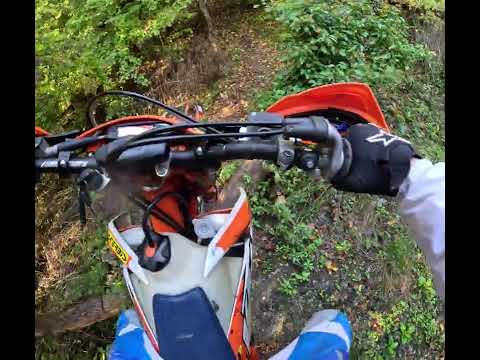 Видео: Ендуро 19.10.2025