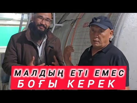 Видео: БОҚТАН АҚША ЖАСАҒАН АҒАМЫЗ 💵💵😱😱