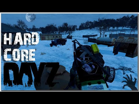 Видео: Дейз | Зимний Хард сервер | Домики тряпочки | #dayz