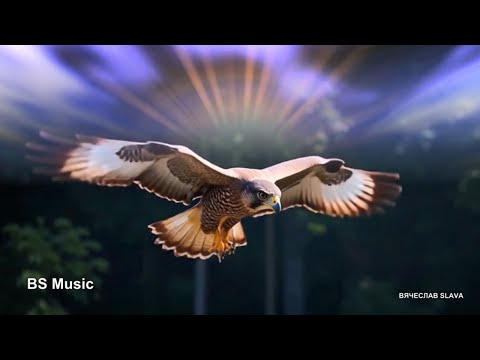 Видео: Айгор - Два крыла 2025