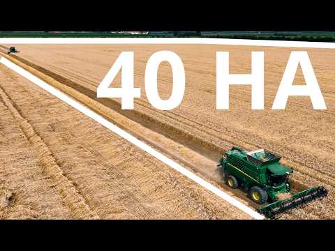 Видео: УБОРКА ПШЕНИЦЫ 2025 ГОДА 2X JOHN DEERE T-SERIES
