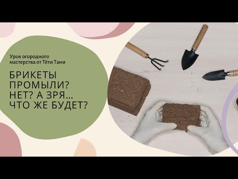 Видео: Брикеты промыли? Нет? Зря...