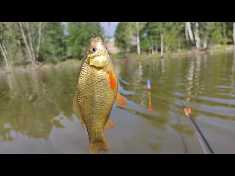 Видео: ХЕРАБУНА.Корейский стиль!