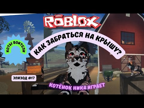 Видео: Roblox. Коты воители. Как забраться на крышу,в ящик и на мельницу. Котёнок Ника играет