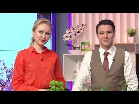 Видео: Здравствуйте от 4/12/2024 - ТНВ